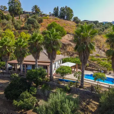 Venta de finca - cortijo en Sayalonga