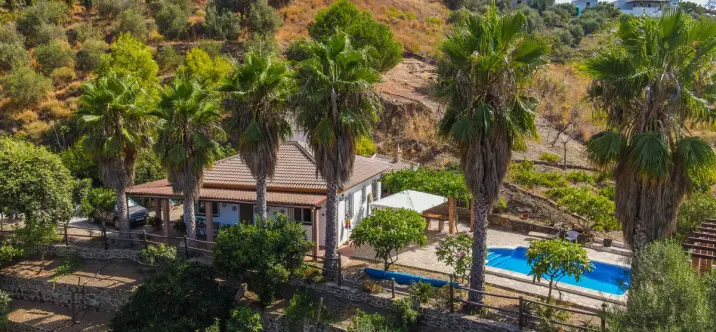 Venta de finca - cortijo en Sayalonga 2