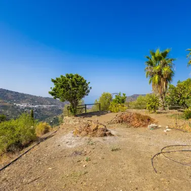 Venta de finca - cortijo en Sayalonga