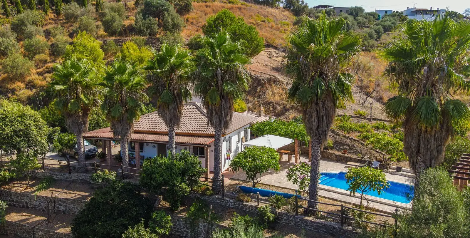 Venta de finca - cortijo en Sayalonga 3