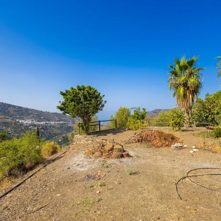 Sale of finca - cortijo in Sayalonga