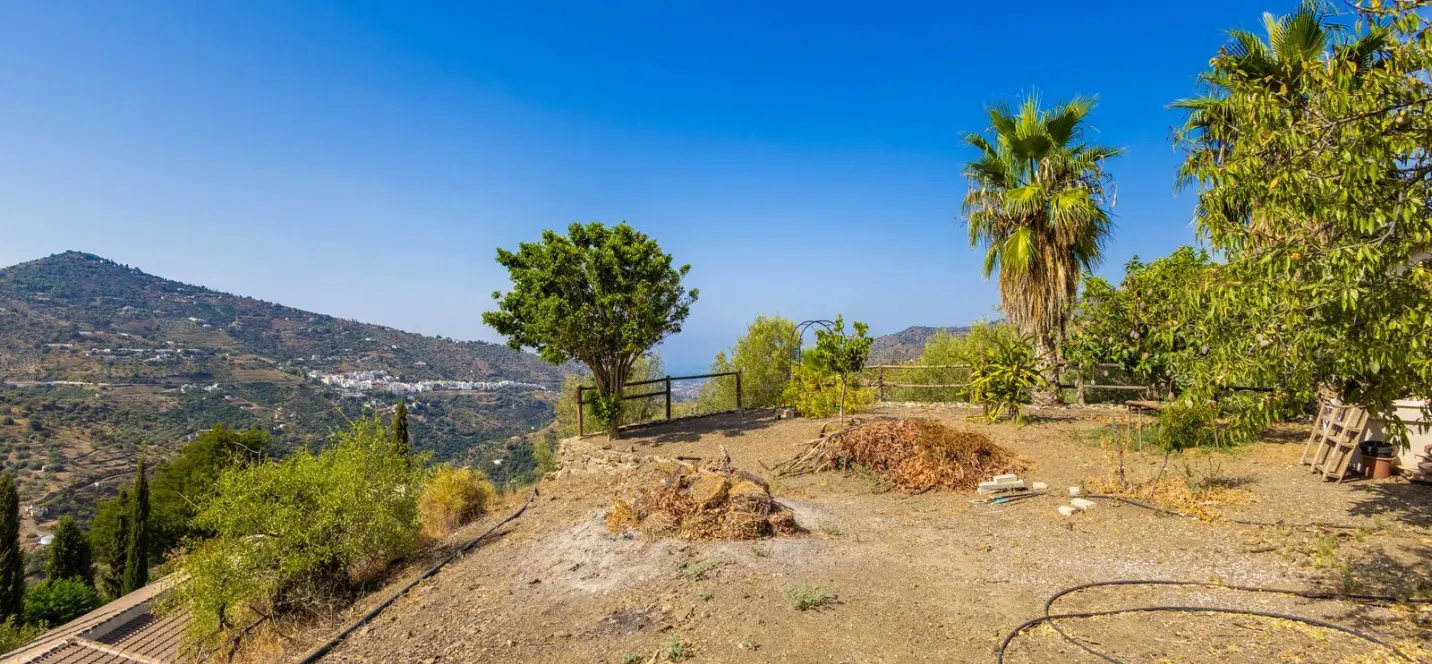 Sale of finca - cortijo in Sayalonga 3