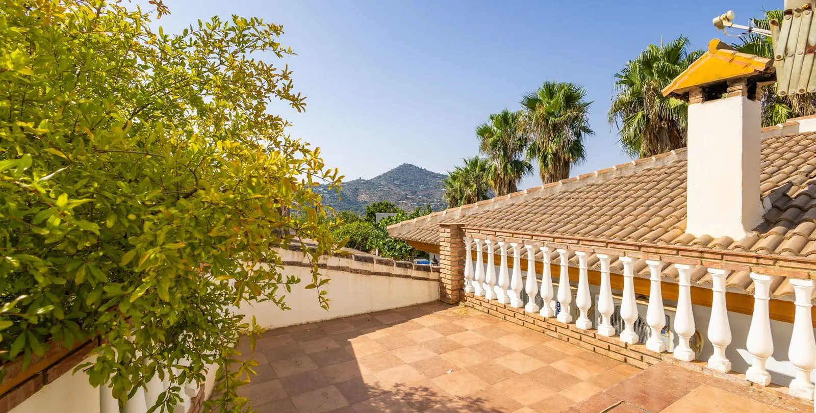 Venta de finca - cortijo en Sayalonga 34