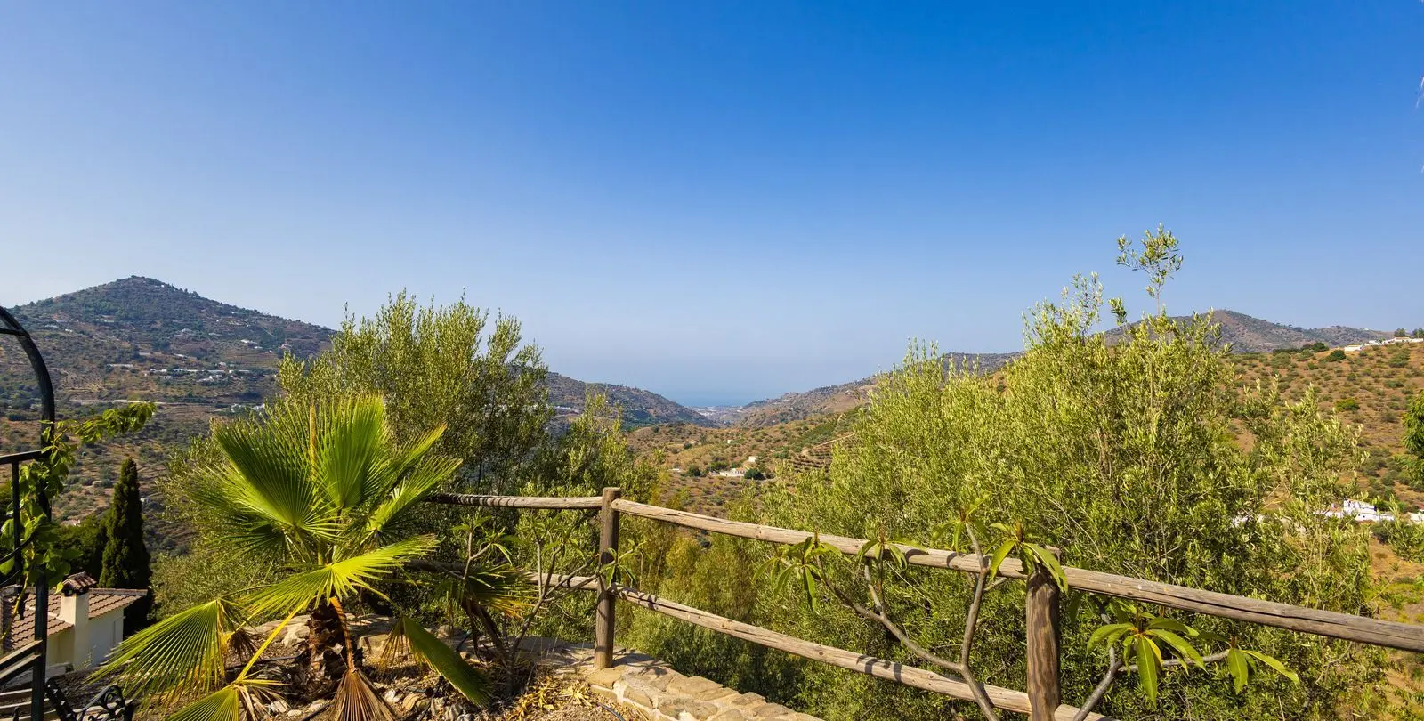 Venta de finca - cortijo en Sayalonga 41
