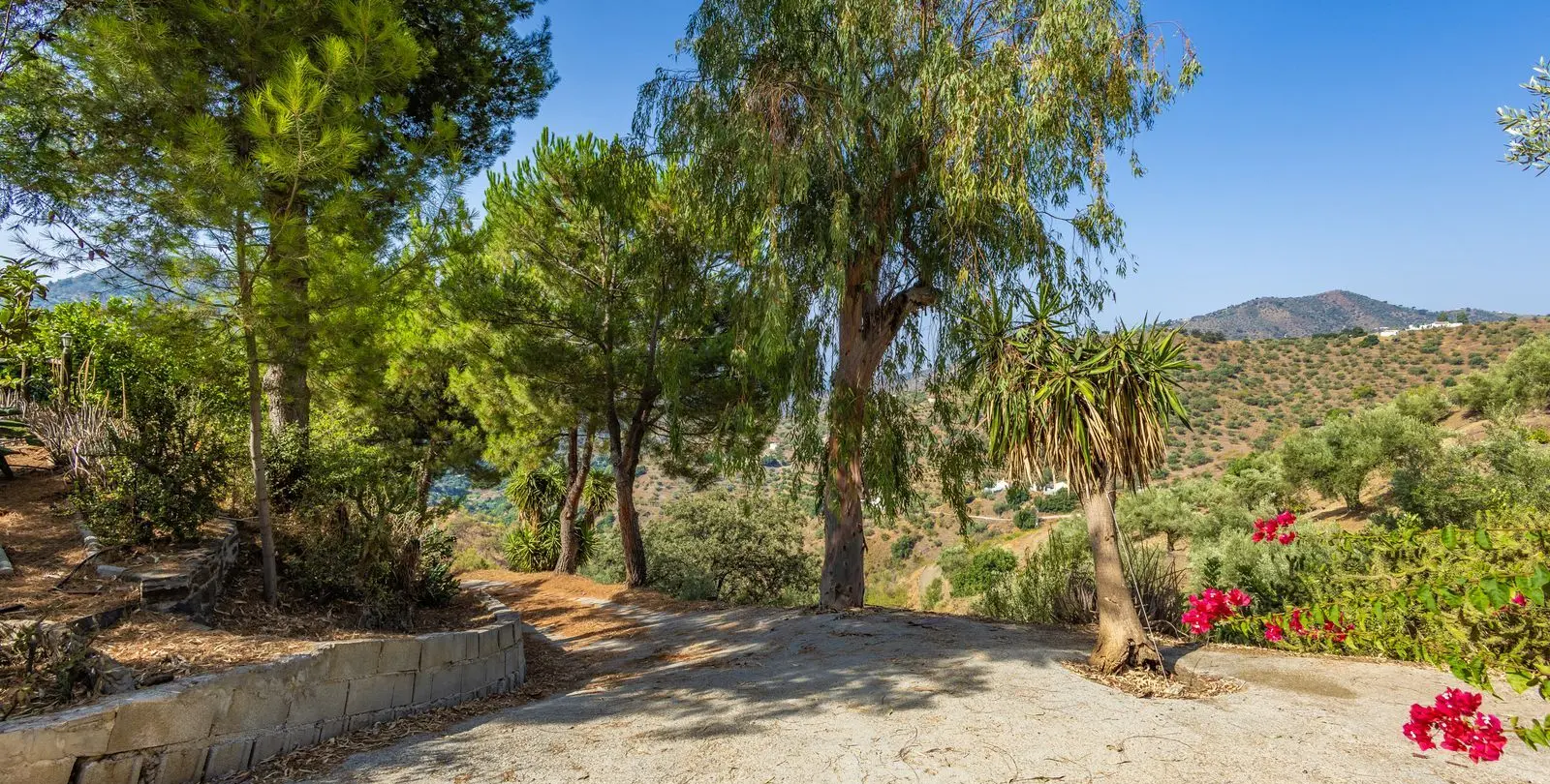 Venta de finca - cortijo en Sayalonga 44