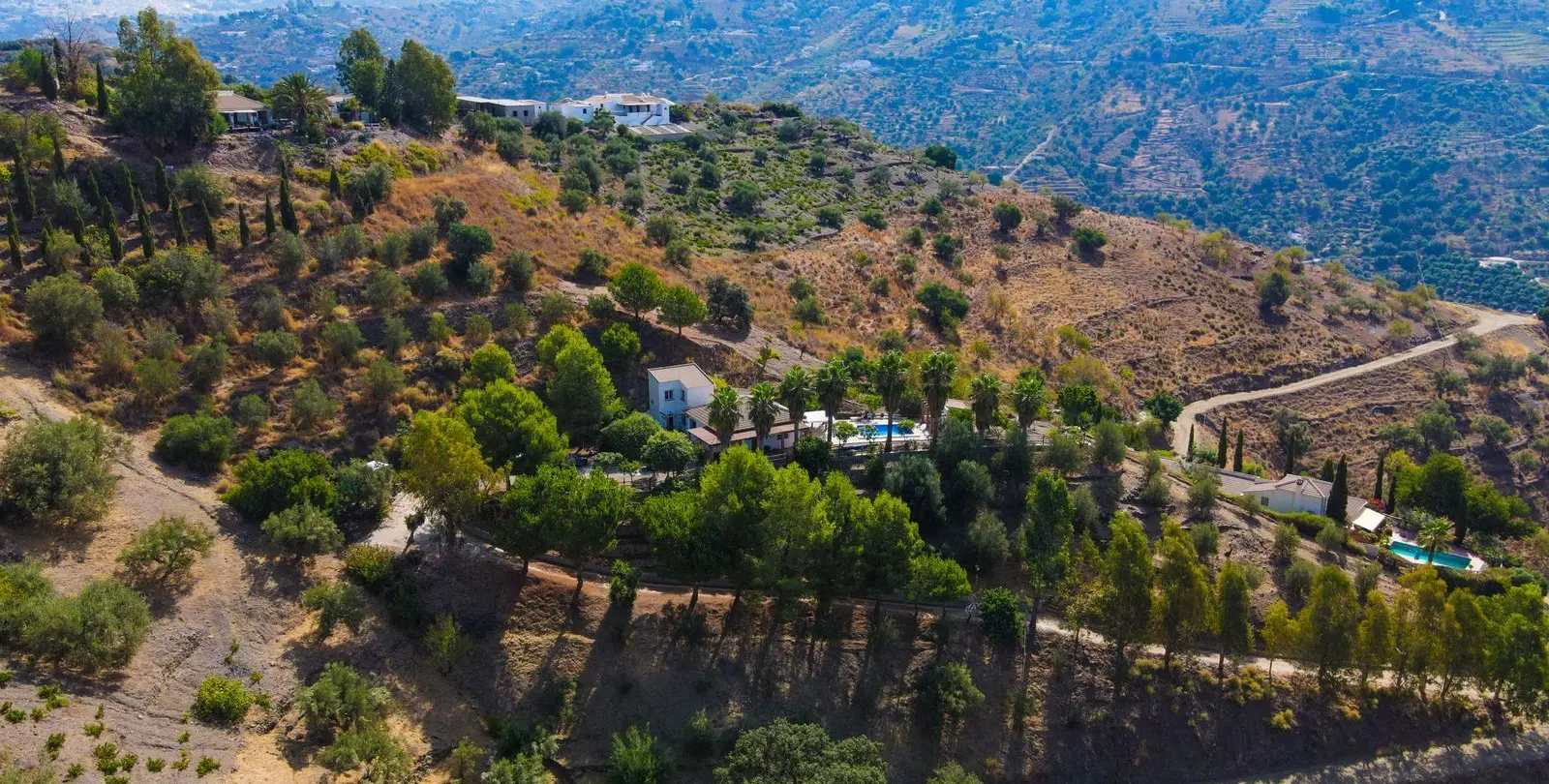 Venta de finca - cortijo en Sayalonga 48