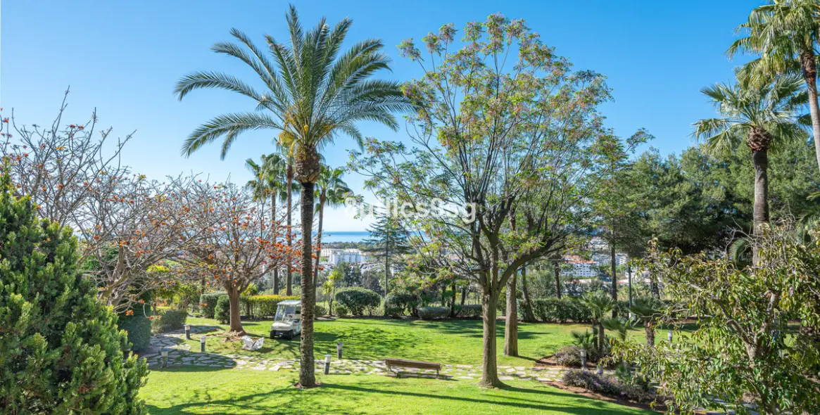 Venta de apartamento en planta baja en Nueva Andalucía 29
