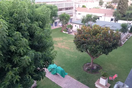 Image 4 thumb