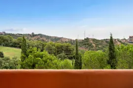 Image 6 thumb