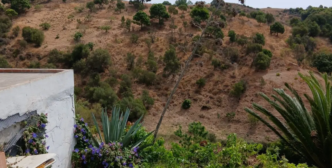 Venta de finca - cortijo en Estepona 12
