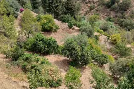 Image 14 thumb