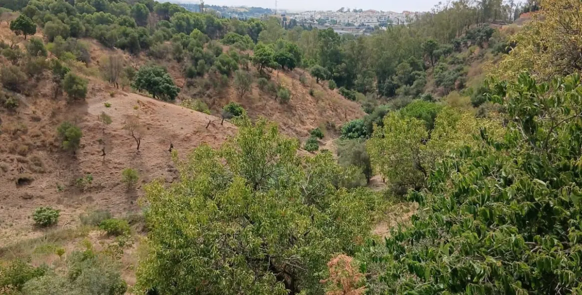 Venta de finca - cortijo en Estepona 17