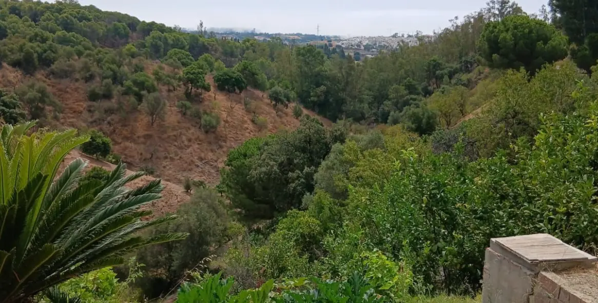 Venta de finca - cortijo en Estepona 23