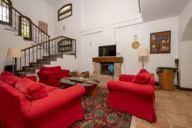 Image 6 thumb