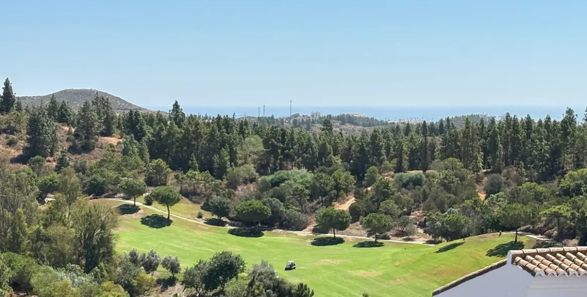 Sale of penthouse in El Chaparral 2