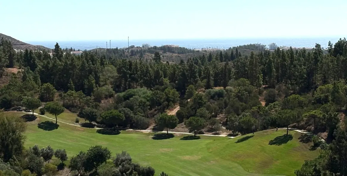 Sale of penthouse in El Chaparral 4