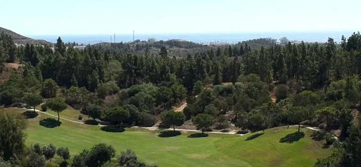 Sale of penthouse in El Chaparral 3