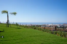 Image 36 thumb