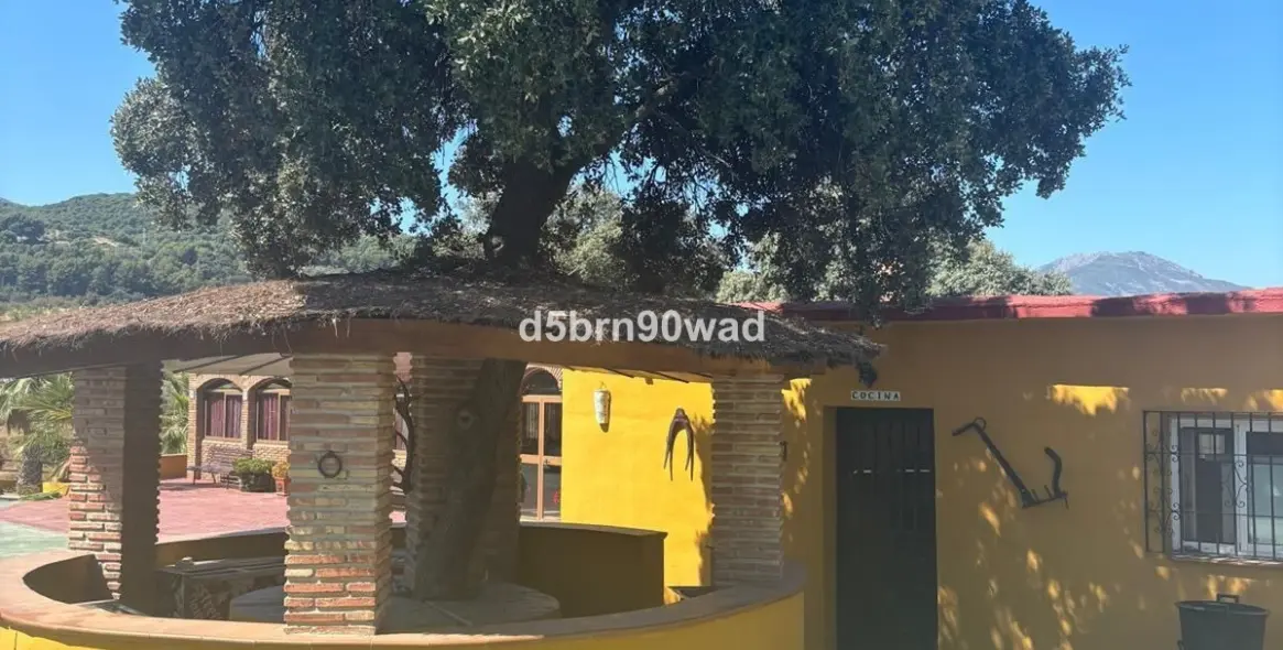 Продажа фермы в Monda 8