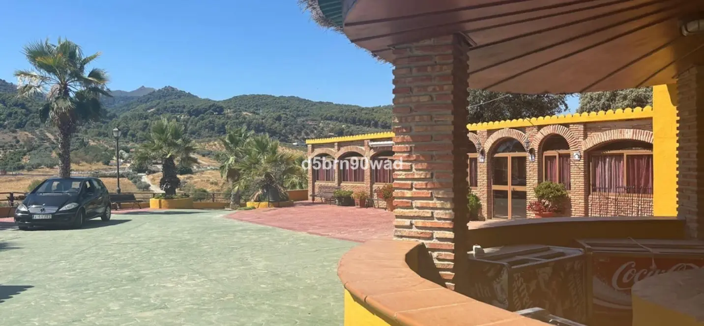 Sale of farm in Monda 4