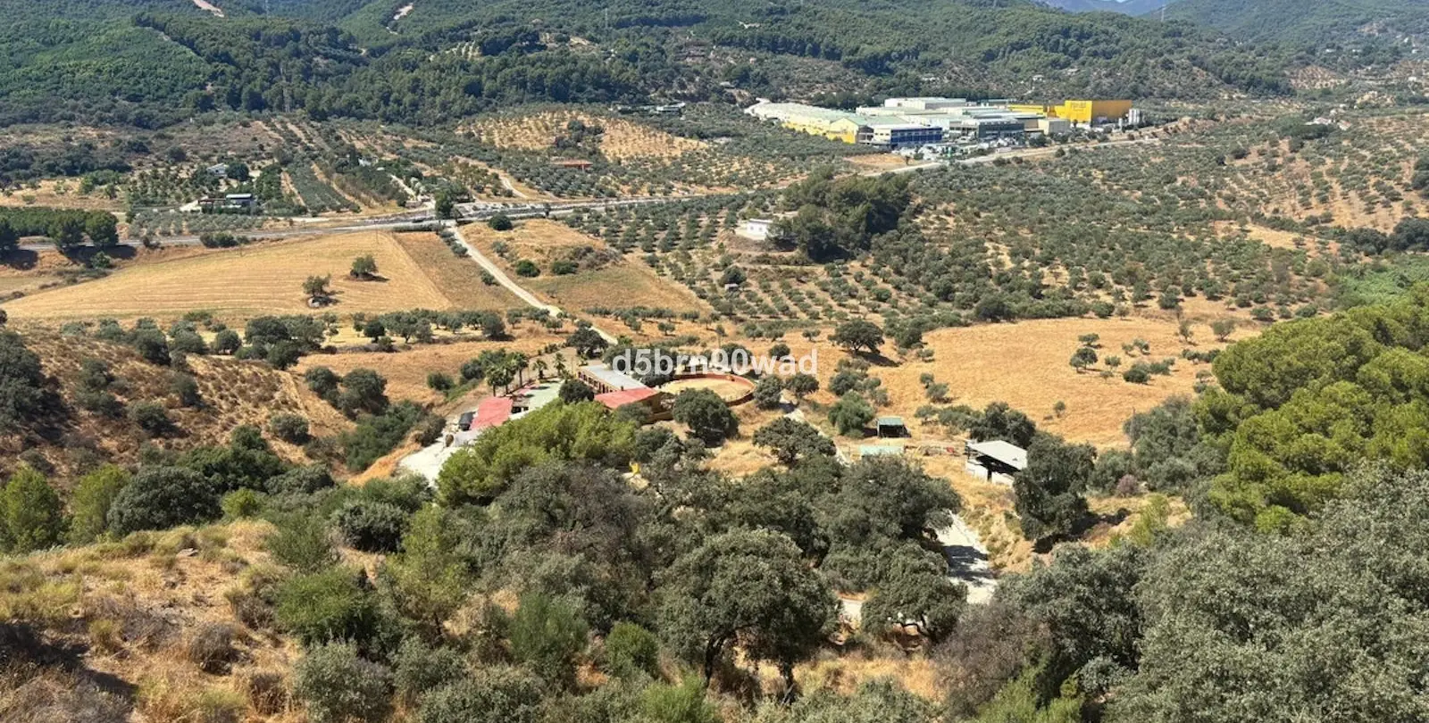 Sale of farm in Monda 13