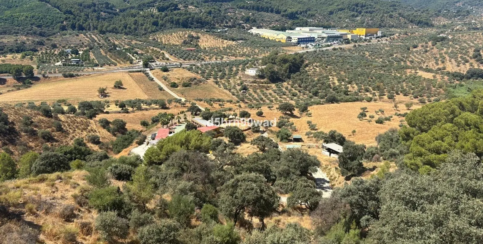 Sale of farm in Monda 14