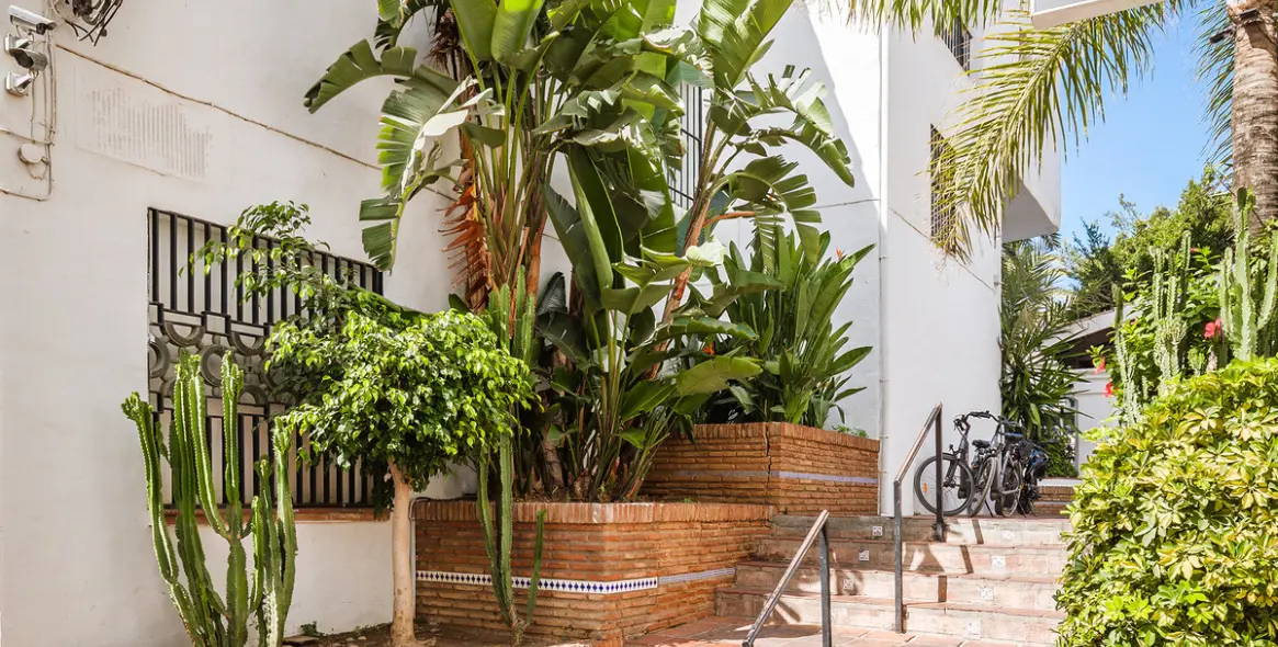 Long-term rent of commercial premises in Puerto Banús 29