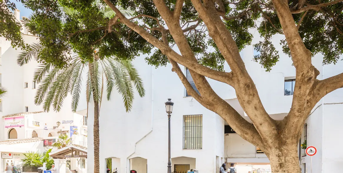 Long-term rent of commercial premises in Puerto Banús 39