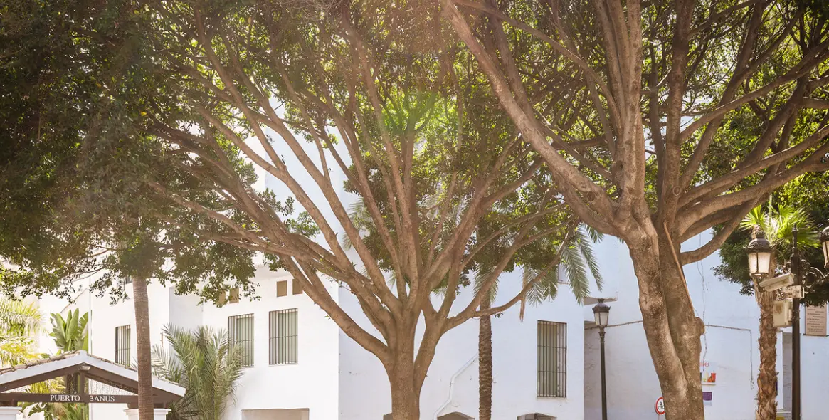 Long-term rent of commercial premises in Puerto Banús 43