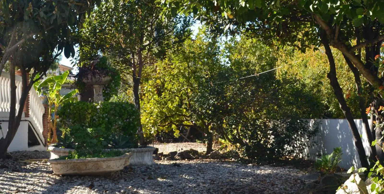Sale of bed & breakfast in Alhaurín de la Torre 13