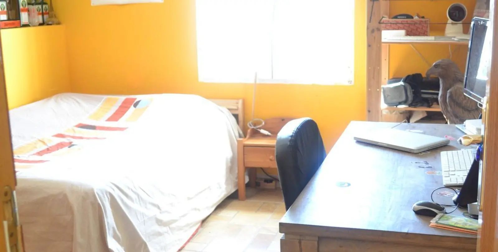 Sale of bed & breakfast in Alhaurín de la Torre 50