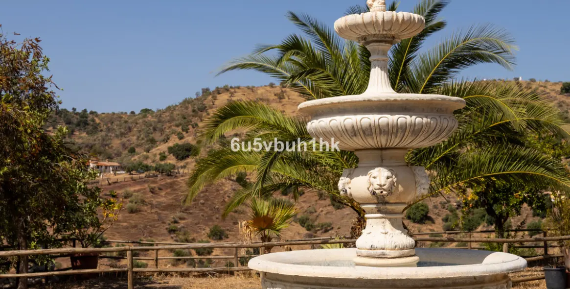 Venta de finca - cortijo en Almogia 6