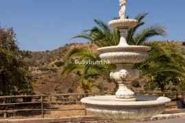 Image 6 thumb