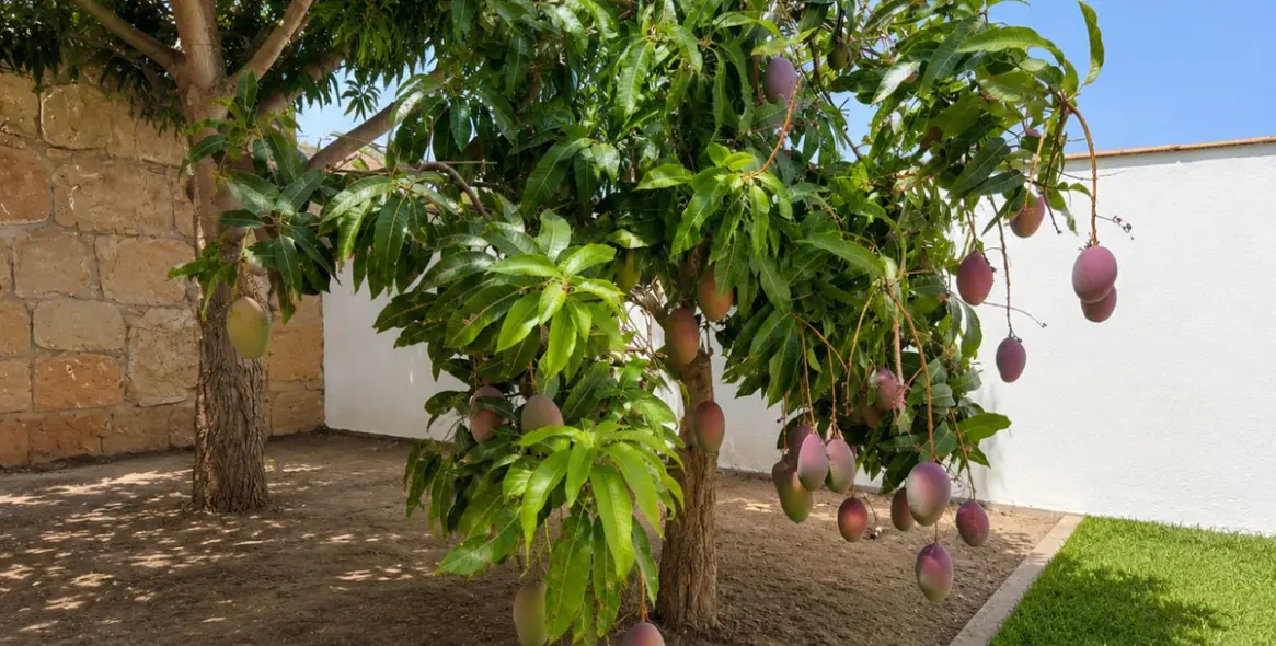 Venta de villa independiente en Estepona 13