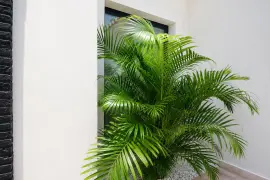 Image 8 thumb