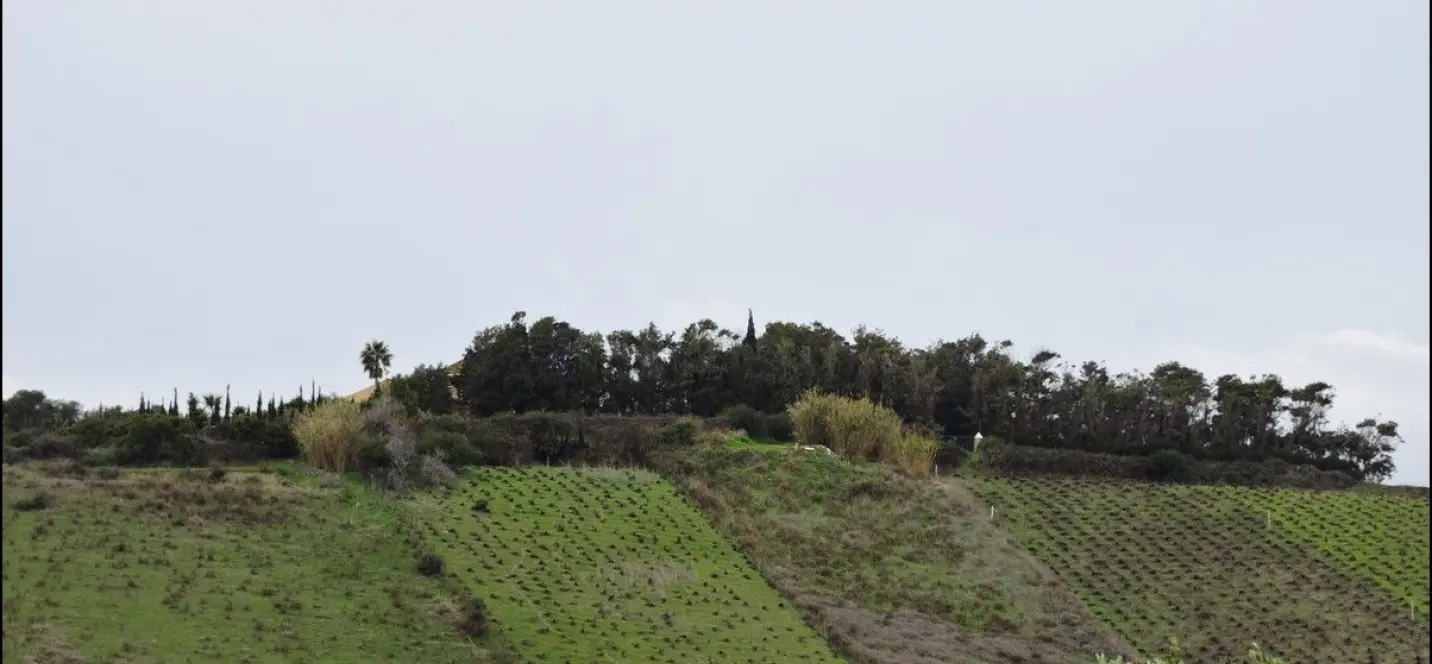 Sale of finca - cortijo in Manilva 1
