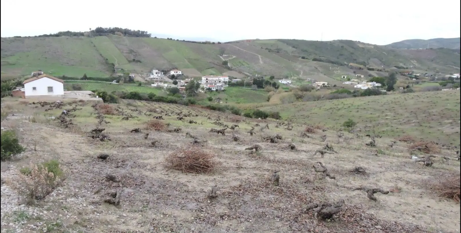 Sale of finca - cortijo in Manilva 4