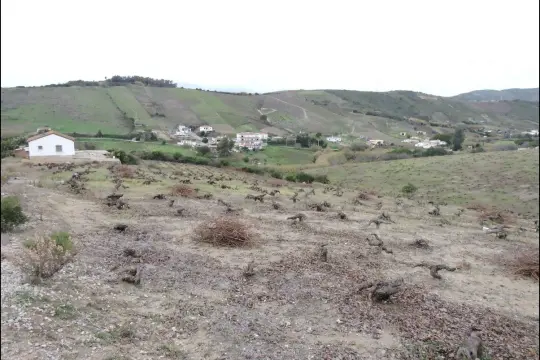 Image 4 thumb