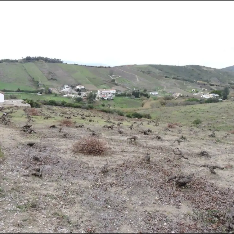 Sale of finca - cortijo in Manilva