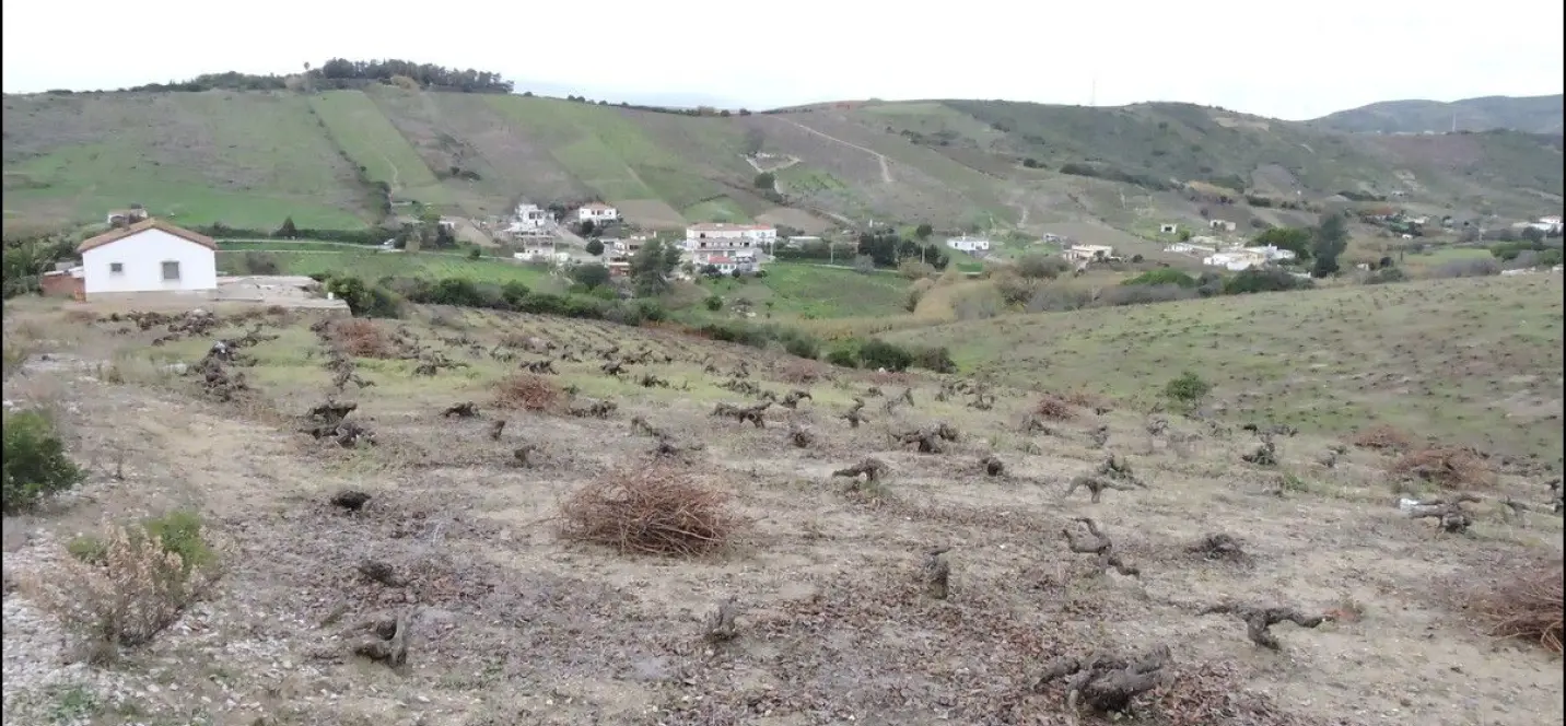 Sale of finca - cortijo in Manilva 3