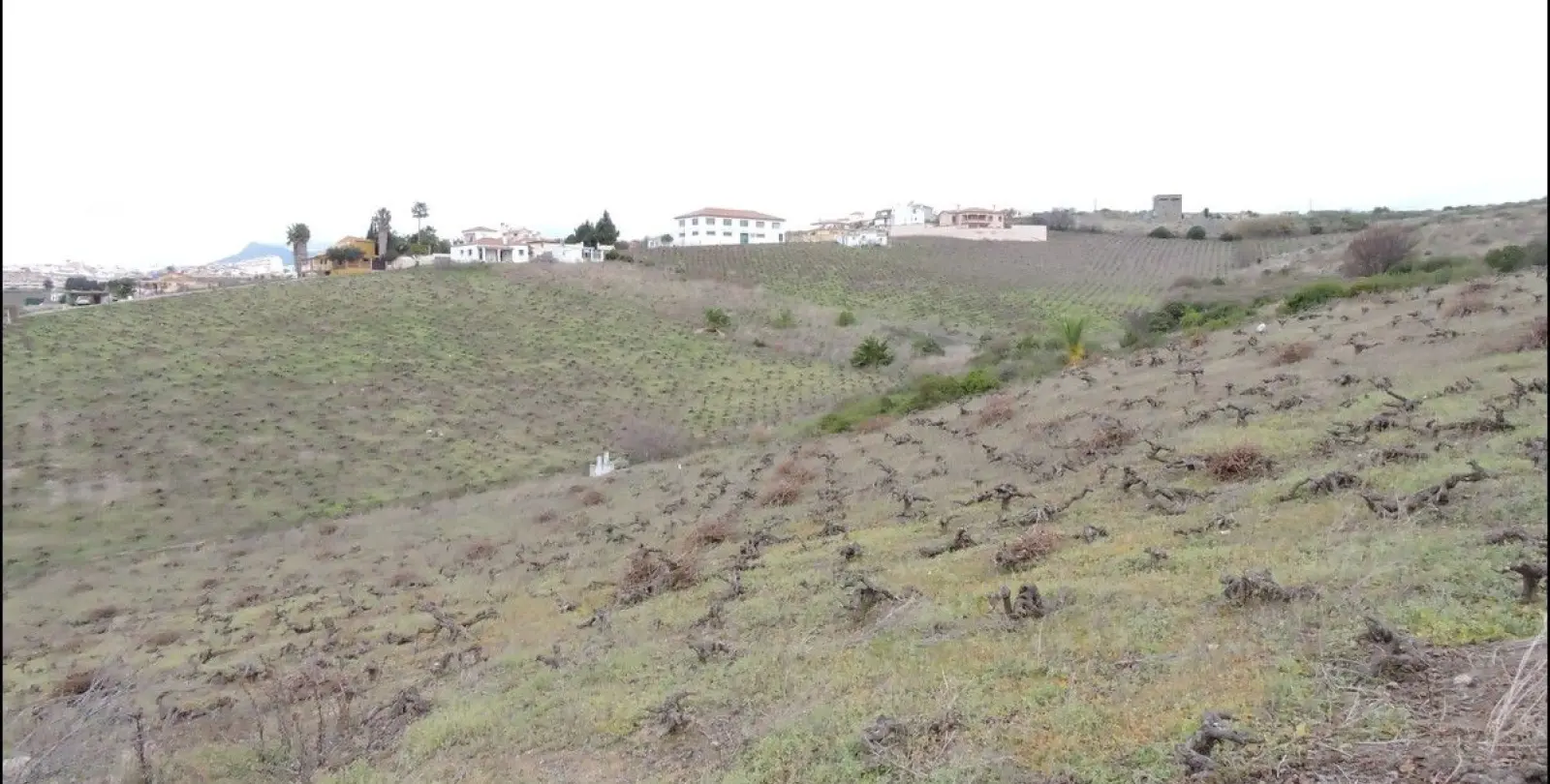 Sale of finca - cortijo in Manilva 5