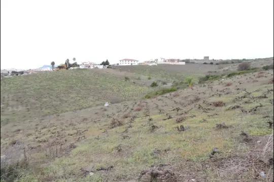 Image 5 thumb