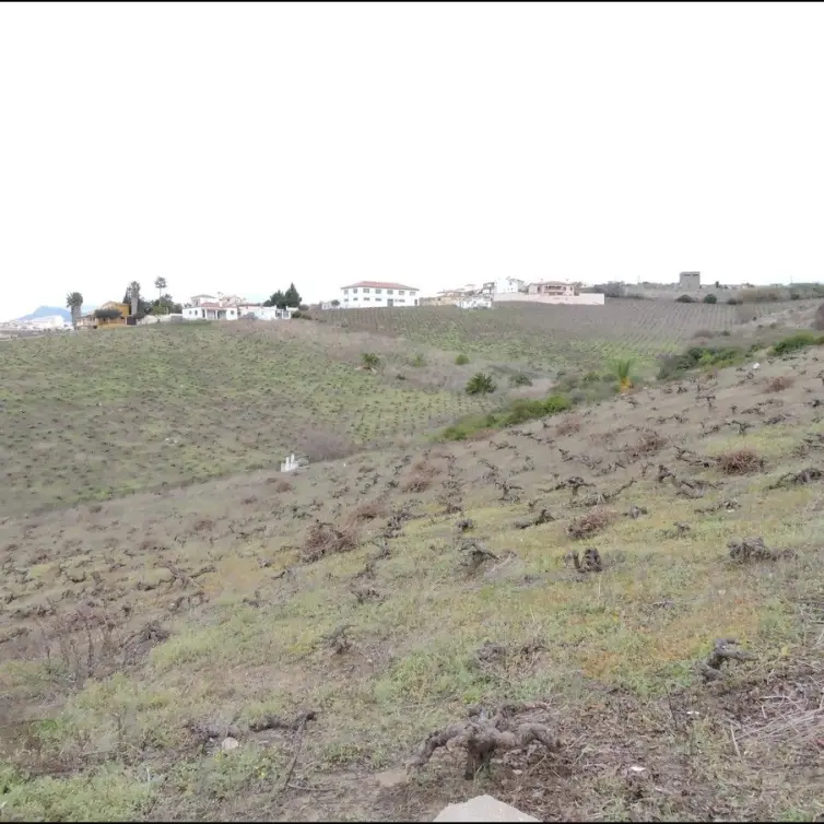 Sale of finca - cortijo in Manilva