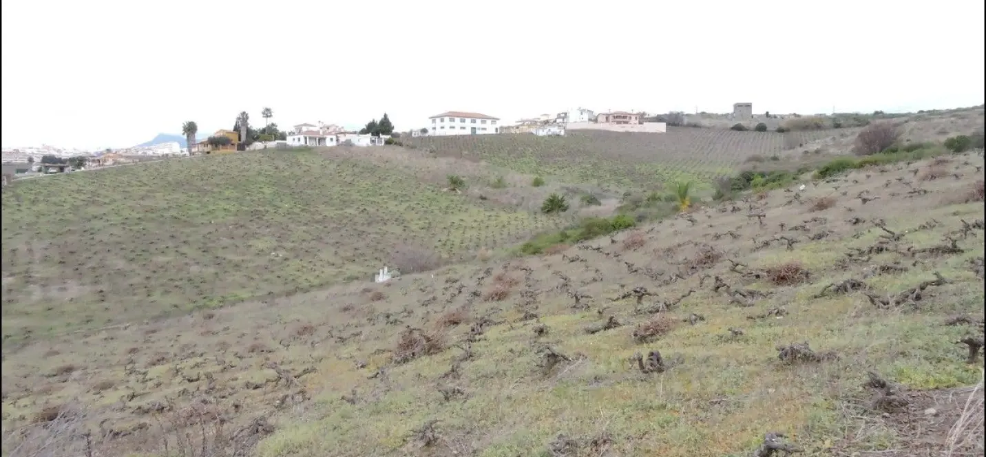 Sale of finca - cortijo in Manilva 4