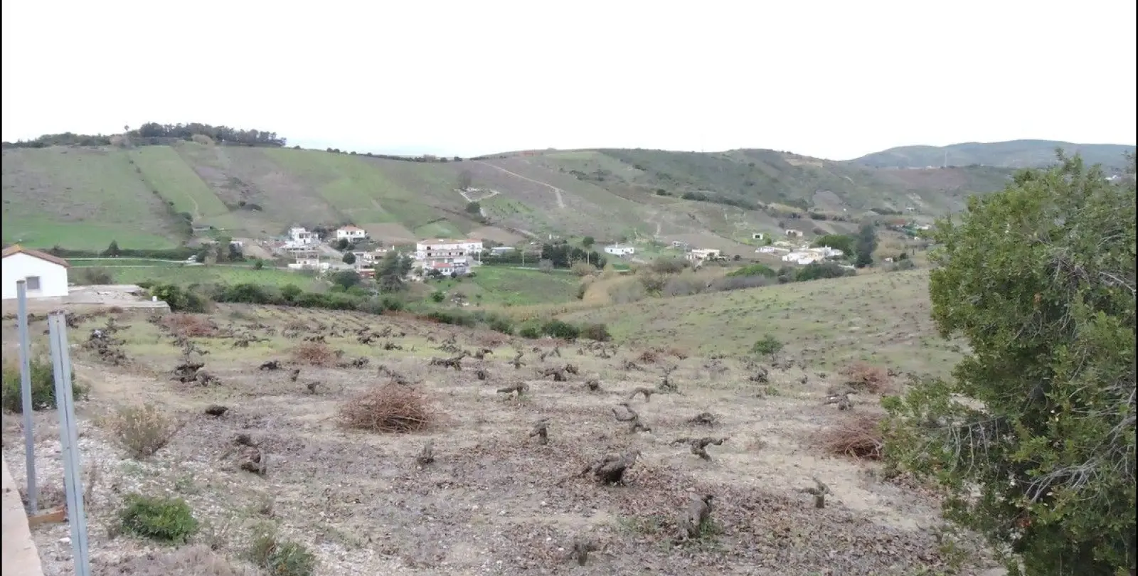 Sale of finca - cortijo in Manilva 6