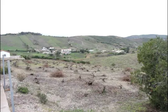Image 6 thumb