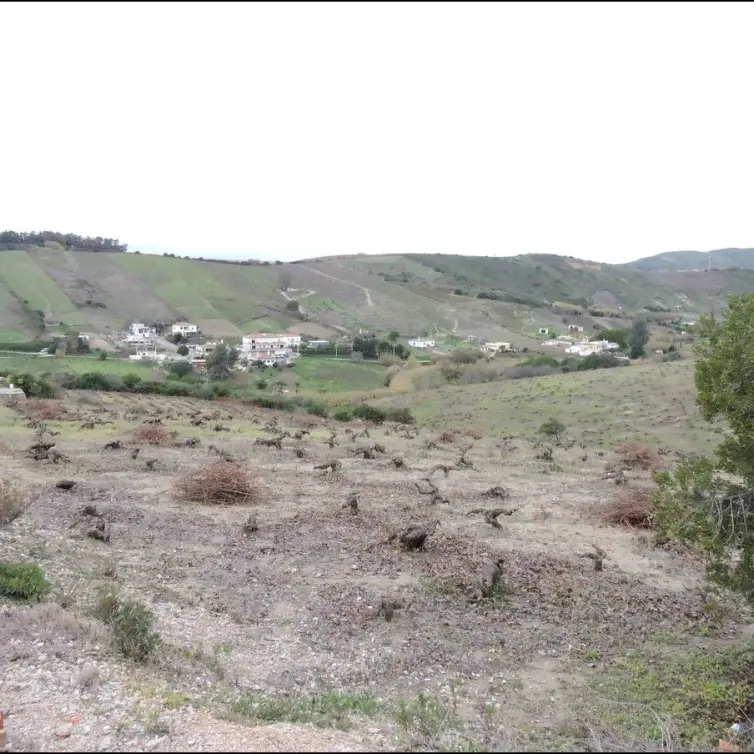 Sale of finca - cortijo in Manilva