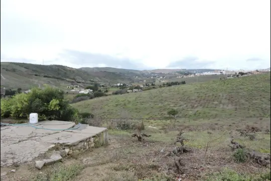 Image 10 thumb