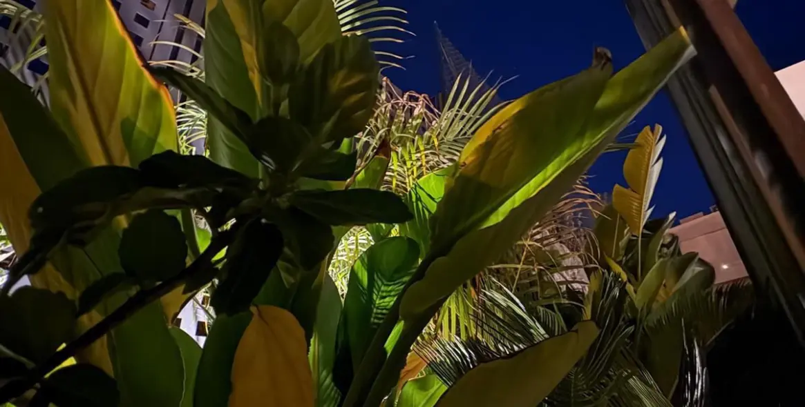 Venta de villa independiente en La Duquesa 57