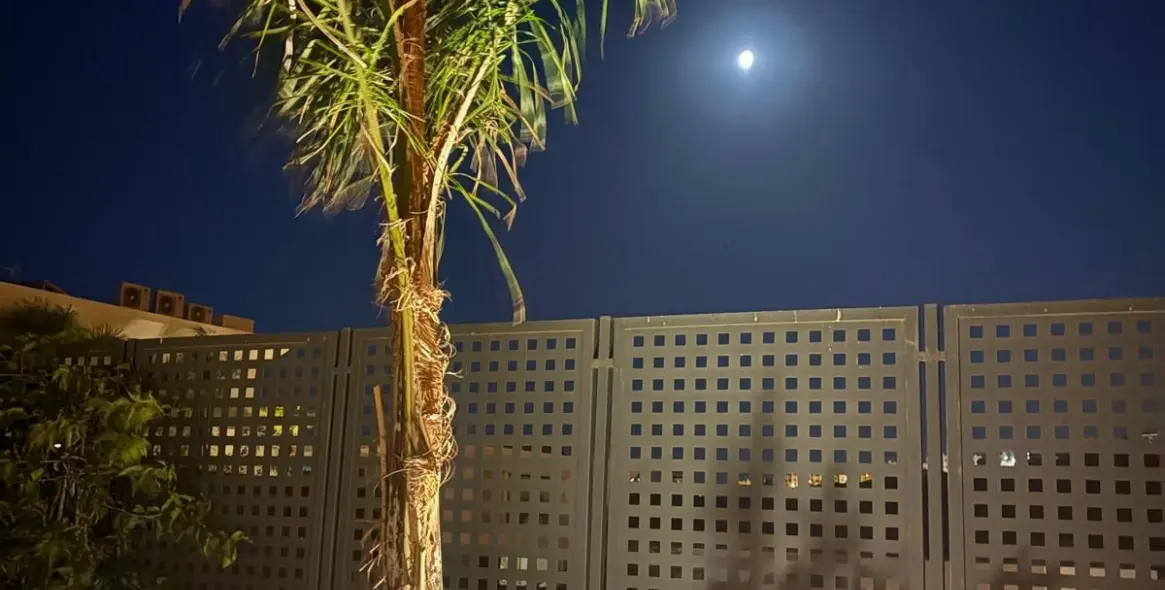 Venta de villa independiente en La Duquesa 58